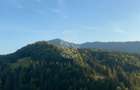 Teren Intravilan 1000mp-panorama-oportunitate investitie-Colibita - 4
