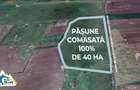 Teren PASUNE de 40ha, Comasat 100%, cu FS de 961 ml la Drumul European - 2
