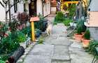 Vand casa ultracentra 199.000 euro - 15
