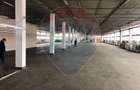 Hala 400 m productie - depozitare  – Lift 3t, Acces TIR, zona Aeroport - 5