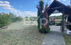 Casă de vânzare în comuna Sâmbăta, județul Bihor - 10