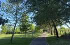  Apartament 2 camere - Prelungirea Ghencea/ Cartierul Latin - - 16