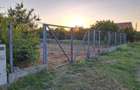 Vanzare teren intravilan imprejmuit 800mp Buftea - 3