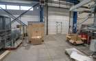 Spatiu productie sau depozit, Parcul Tetarom - 4