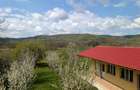 Arges | Valea Mare-Bratia | Vila veritabila 276 mp in zona pitoreasca - 12