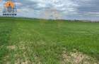 Teren 10.000 mp Ghimbav – deschidere DN1 (E68) – investiție sigură - 4