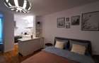 apartament 1 camera Bulevardul Take Ionescu / Medicina ! - 7