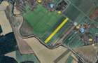 Cel mai bun pret! 1.5 ha, lot teren localitatea Nuci, Ilfov - 4