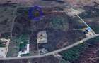De vânzare teren 974 mp, în Paleu - 3