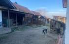 Proprietate rară – 2 case + livadă, vie și teren generos, la 20 km de Târgu Jiu - 6