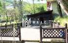 Investitie I Restaurant I Parc Izvor Caciulata - 18