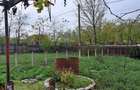 Casa 6 camere, teren 1700 mp, deschidere dubla, Insuratei - 3