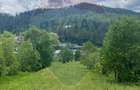Teren 6,865mp Voroneț / Gura Humorului / Bucovina - 20