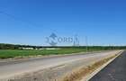 TEREN INTRAVILAN 17.714 MP – SCROVIȘTEA / BĂLTENI – LÂNGĂ PĂDURE - 3