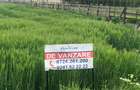 Teren 17.000mp Costinesti - zona Manastire - 100 euro/mp (Cod E2) - 3