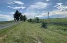 Teren Buftea- Tamasi intravilan 13200 mp, 42 m deschidere, 15 euro/mp-0722515258 - 1