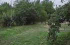 Casa de inchiriat in Clinceni-Olteni la doar 15km de Bucuresti - 6