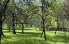 Casă  de vânzare în zona Câmpulung înconjurată de natura - 2
