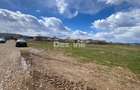 Teren de vanzare Dumbrava Rosie 20.000 Euro 900mp - 4