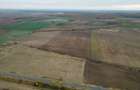 Teren 22.500 mp–Pecica, jud. Arad,Posibilitate PUZ - 5