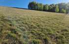 RECO, teren intravilan, Zona Sinteu, Bihor - 3