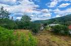 Teren Intravilan de vanzare 3551mp Poiana Copaceni Com Gura Vitioarei - 2