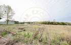 Teren Intravilan 1300 mp / Extravilan 3.700 mp/ DJ 196B Carei (DN 1F) – Foieni - 5