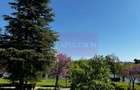 Apartament 3 camere, la parc IOR - 16