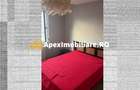 Apartament 2 camere de inchiriat Basarabia București | ApexImobiliare.ro - 4