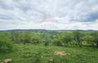Teren 5,350mp Dobreni / Strada Manastirea Horaita - 7