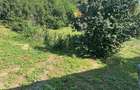Casă cu teren de 5.700 mp, Pădureni,se accepta si schimb cu apt in Iasi - 18
