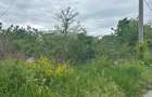 REL4001302 Teren sector 1 Centura DN1 Padurea Baneasa - 4