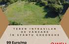 Teren intravilan de vânzare în Sfântu Gheorghe, str. Pădurii - 1