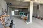 Spatiu Comercial - 116 mp, Selimbar, Brana, Sibiu - 2