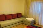 Apartament 1 camera, decomandat, etaj 6/10, zona Nicolina-Lidl - 1
