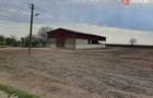 Teren intravilan cu suprafata de 58.340 mp, in Sanmartinul Sarbesc - 27