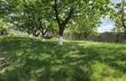 Casa spatioasa, garaj si foisor – Valea Lupului - 6