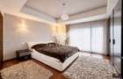 Apartament 4 camere Herastrau | Loc de parcare | 3 Terase - 10
