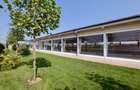 Locatie pentru Evenimente in Saftica - Gradina Lahovari - 6