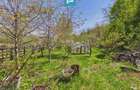 Casă Câmpani, 8000 mp teren, la poalele Apusenilor - 23