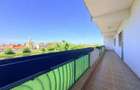 4 camere, suprafata generoasa, vedere panoramica spre raul Timis - 3
