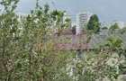 Vânzare apartament 2 camere Chisinu=Basarabia - 8
