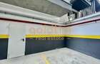 FIRST RENT/ IANCU NICOLAIE/ PRIVELISTE LAC/ PARCARE/ DRESSING - 5