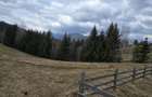 Teren intravilan construibil Brasov Bran  Poarta utilitati vedere spre munti - 6