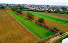 Teren 3.600 m² in Odoreu | 7 km de Satu Mare | 160 m de Principala - 7