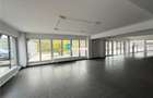 Spatiu comercial de inchiriat,291 mp,sos Rediu,vad excelent - 3