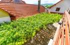 Casa + Pensiune deosebita - Orlat, Sibiu - 38