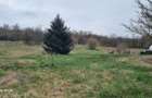 Teren Intravilan 1000 mp.utilităti langa teren,Targu Mures - 4