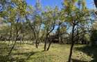 Casa+teren 2713 mp in loc. Babana, jud. Arges. Comision 0% - 5