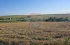Teren intravilan, 7500 mp in Moara Carp / Strada Eternitatii-Suceava - 16